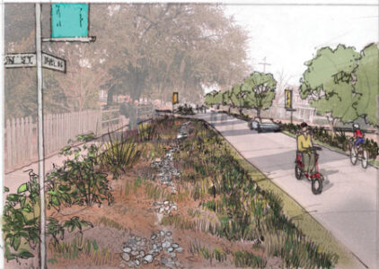 Can This City Be Greened? Charleston, South Carolina Image